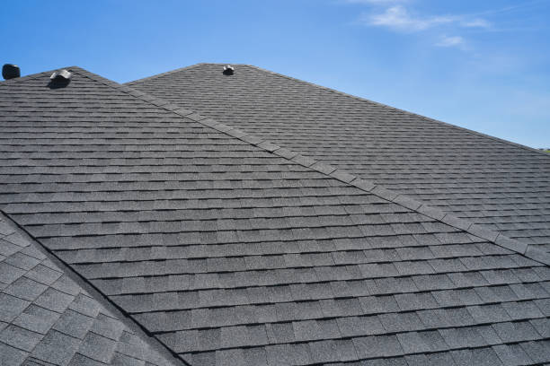 Best Skylight Installation and Repair  in Blplay, AL